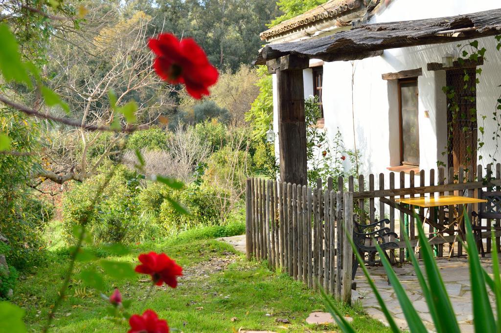 Casa Rural Ahoraya El Colmenar Exterior foto
