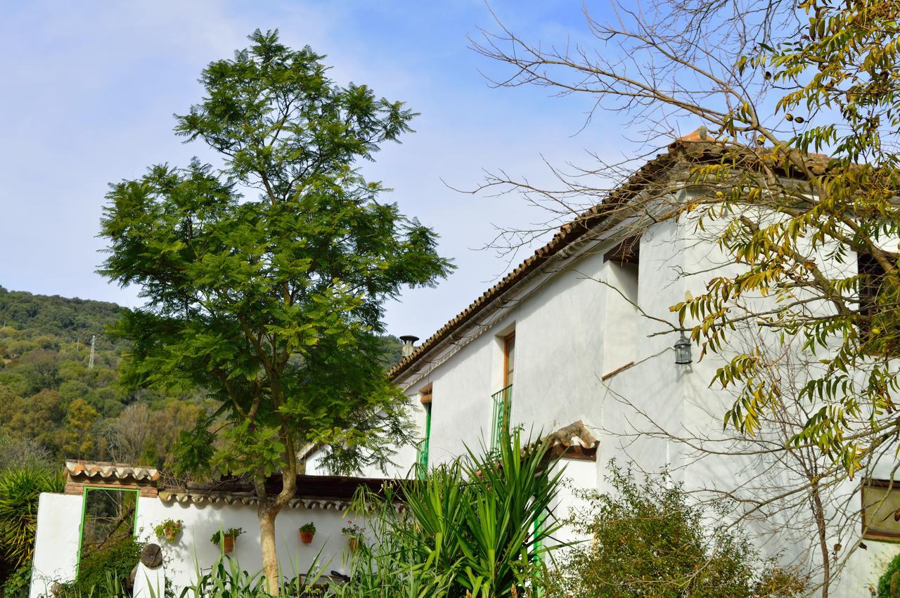 Casa Rural Ahoraya El Colmenar Exterior foto