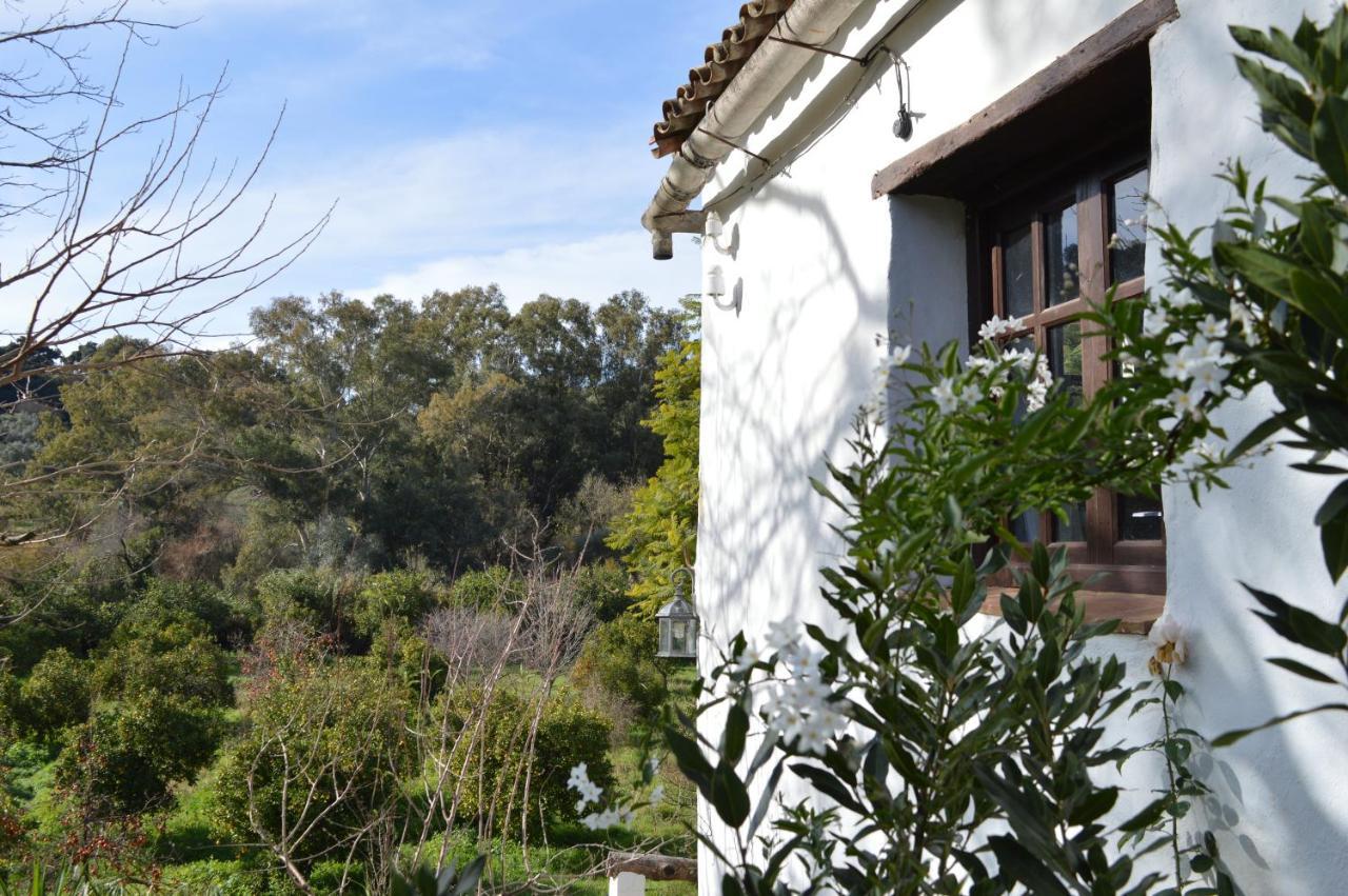 Casa Rural Ahoraya El Colmenar Exterior foto